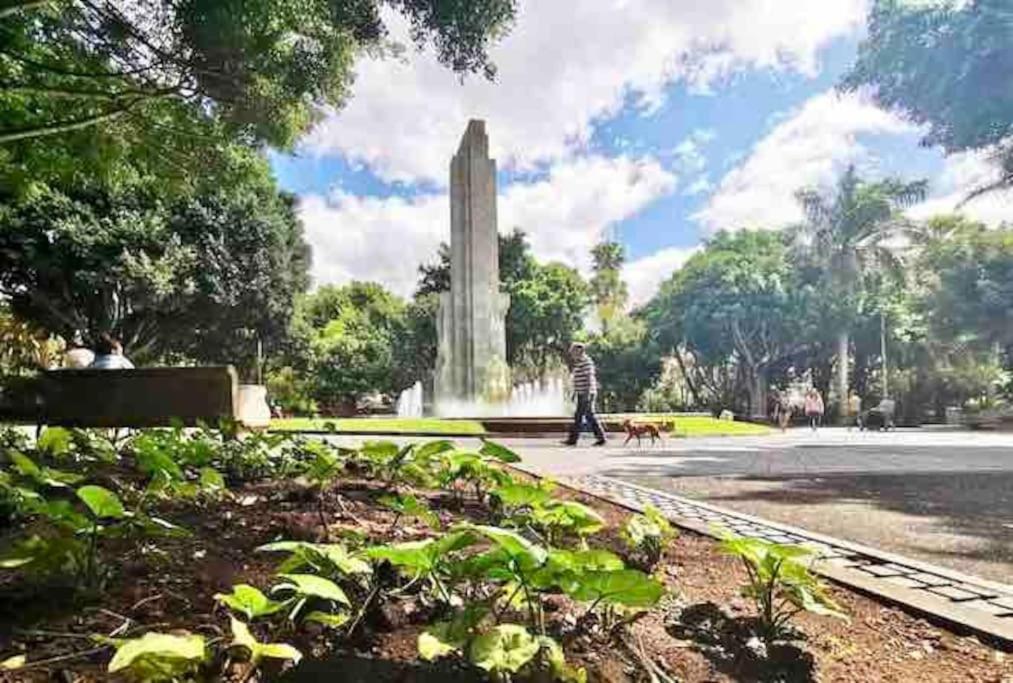 Апартаменты Atico Centro De Sc, Vistas, Aire Acondicionado!!! Санта-Крус-де-Тенерифе Экстерьер фото